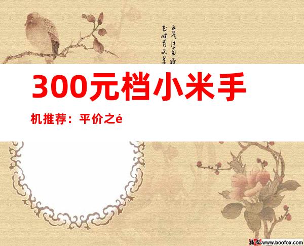300元档小米手机推荐：平价之选，性价比出众